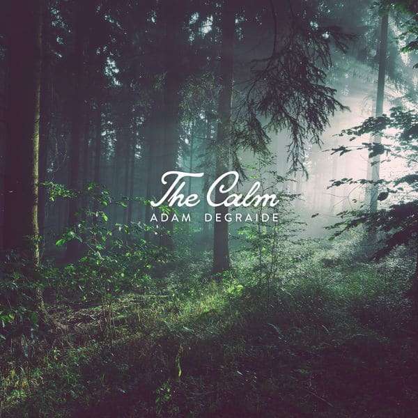 The Calm cover